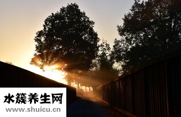 肾上腺瘤是什么病
