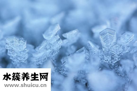 怎样喝普洱茶