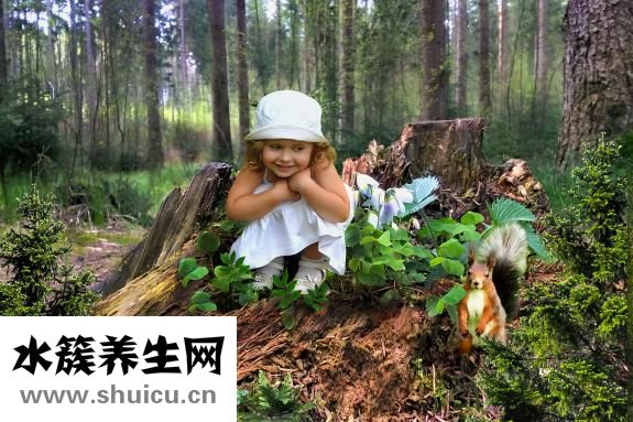 天台乌药散（一乌药散最好的润真有哪些）