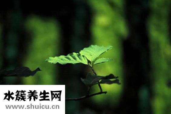 心脏供血不足的前兆