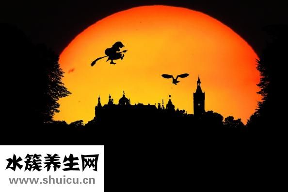 泻肝安神丸