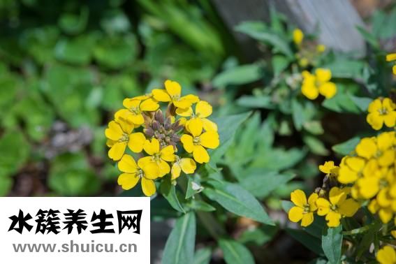 人流后肚子疼
