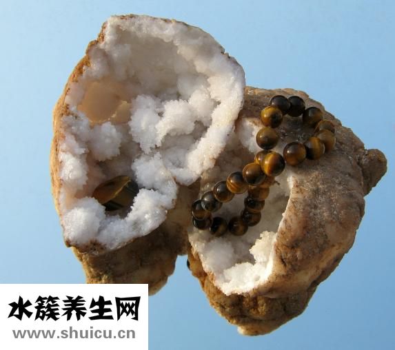 什么米好吃