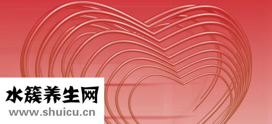 心脏房颤如何治疗