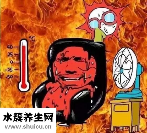 鲱鱼罐头有什么营养