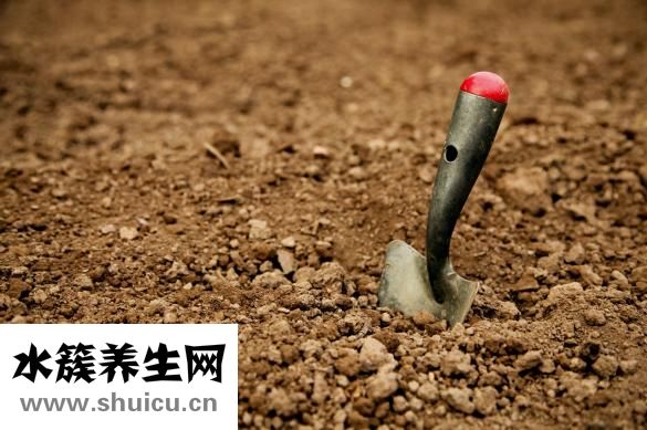 下牙槽神经阻滞麻醉