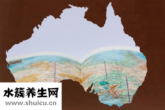 四价和九价的区别