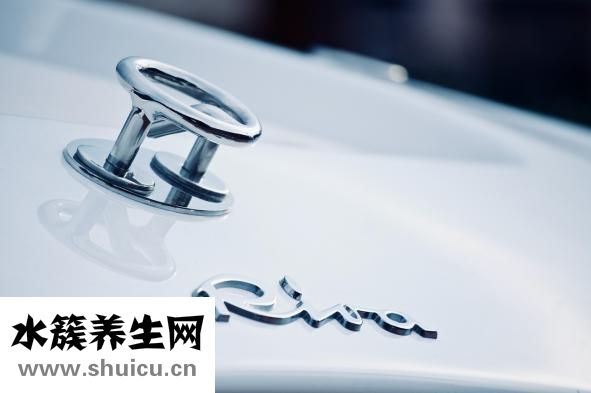四价和九价的区别
