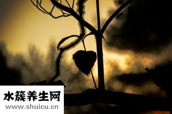 细菌性感冒会传染么