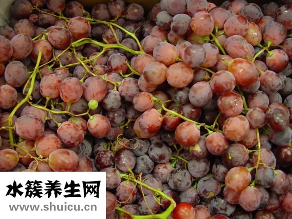 提子和葡萄的区别