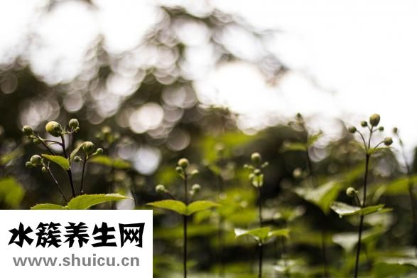 脱皮怎么办
