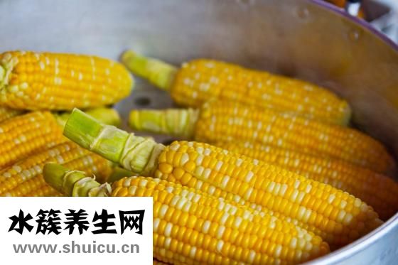 玉米的用途