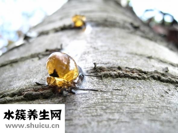 牙釉质修复