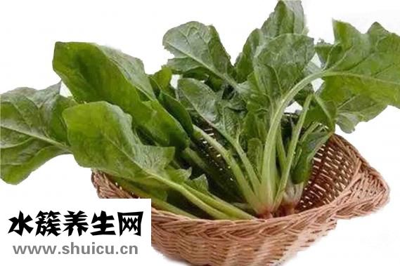 素食减肥食谱