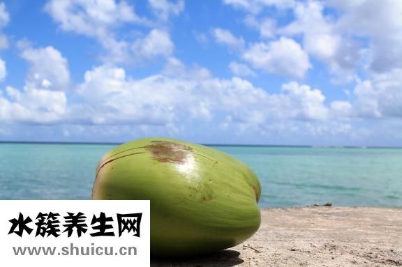 椰子营养价值