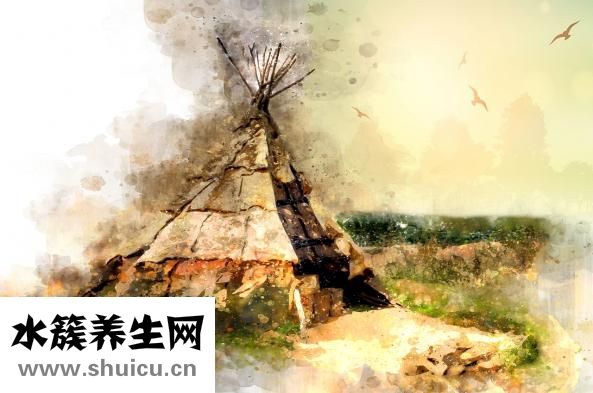 西洋参炖鸡