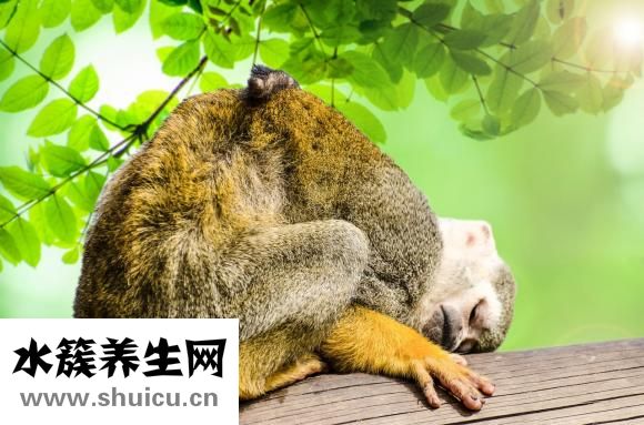 砷中毒的症状