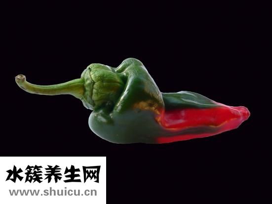 银杏是什么植物