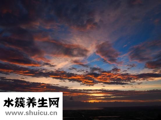 长智齿会发烧吗