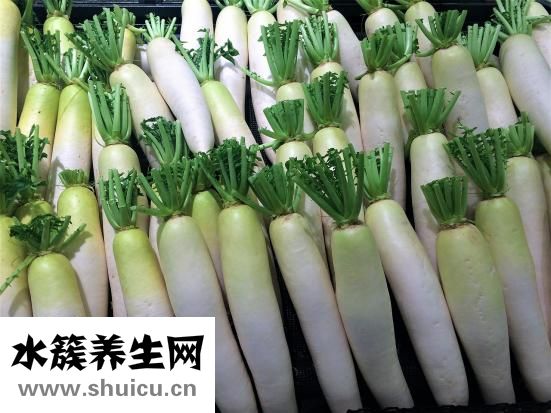 白萝卜的功效与作用