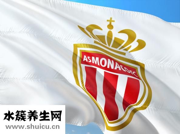多吃糙米可预防便秘糖尿病患者可多吃