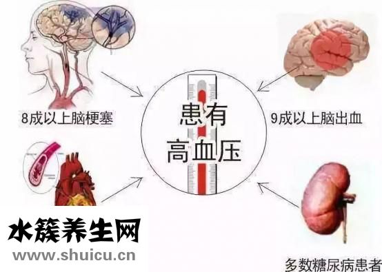 乌龙茶的功效与作用