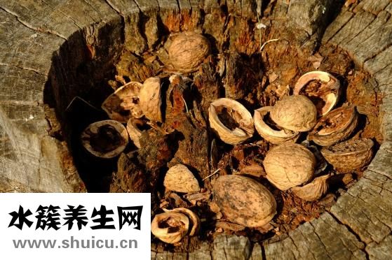 无花果的功效与作用