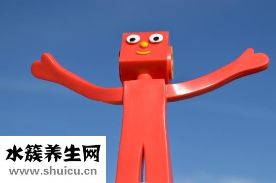 板栗的功效与作用