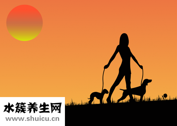 白茶的功效与作用
