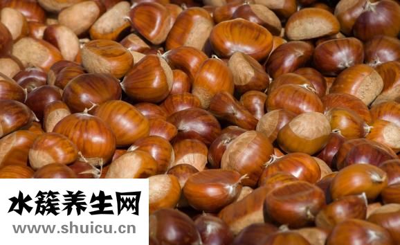板栗的功效与作用