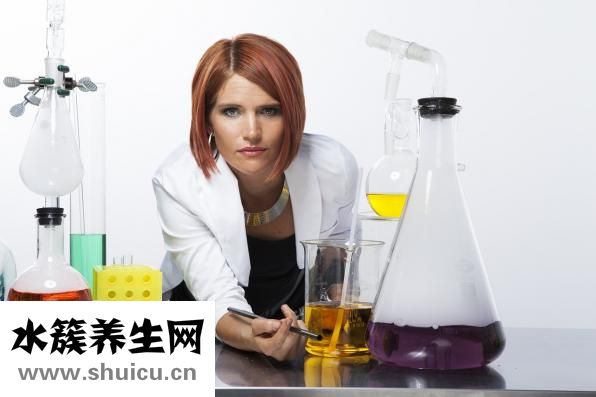 免费黄色网址