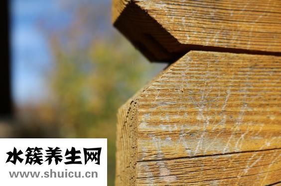 红豆的功效与作用