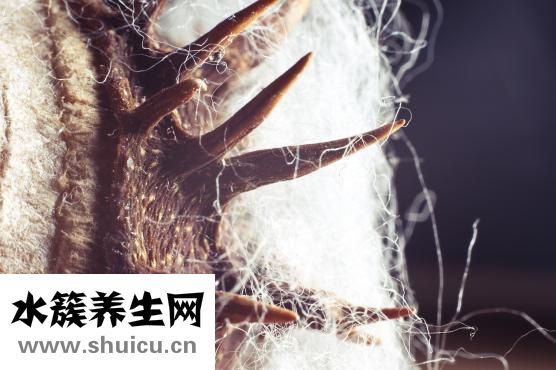 苹果醋的功效与作用