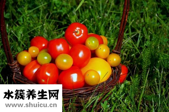 沙棘的功效与作用