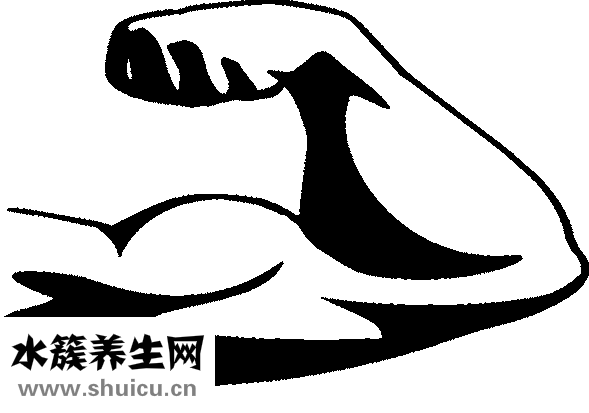 谷维素的功效与作用