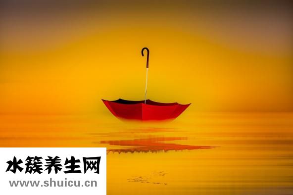 芋头的功效与作用