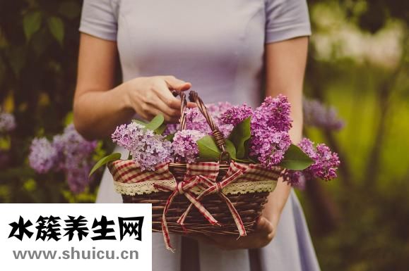 龟苓膏的功效与作用
