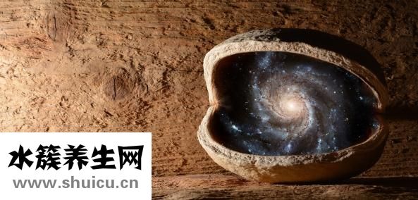 橘红的功效与作用