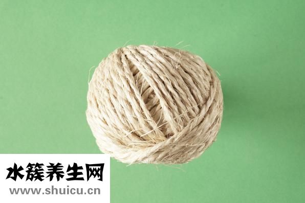 桔梗的功效与作用