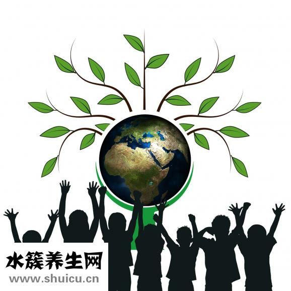 姜黄的功效与作用