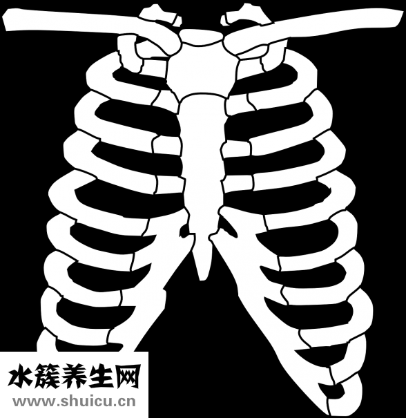 抹胸是什么