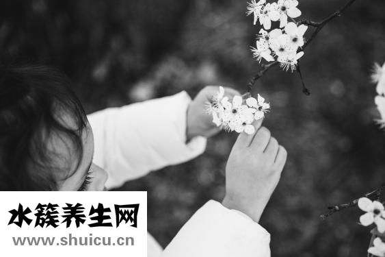 牛膝的功效与作用