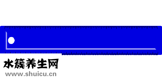 金钱草的功效与作用