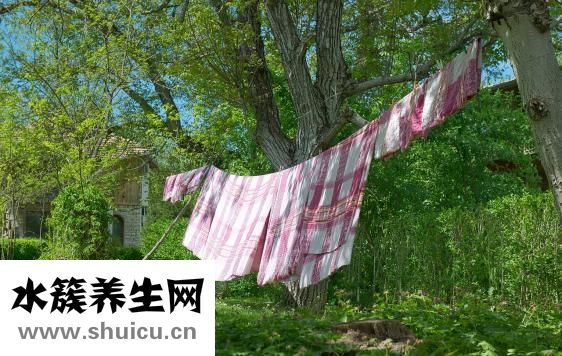 七步洗手法