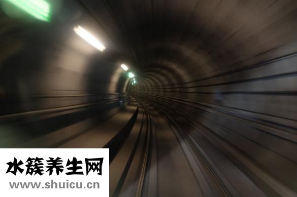 黄芩的功效与作用