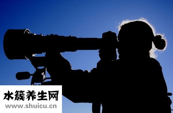 免费黄色网址