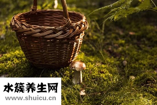 黄连的功效与作用