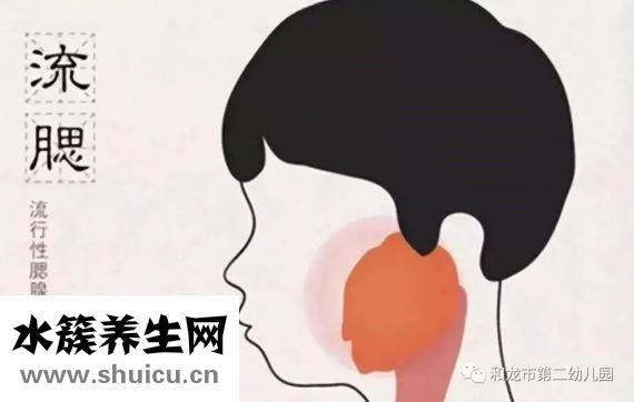 连翘的功效与作用