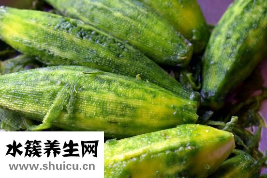 苦瓜的功效与作用