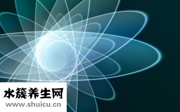 石菖蒲的功效与作用